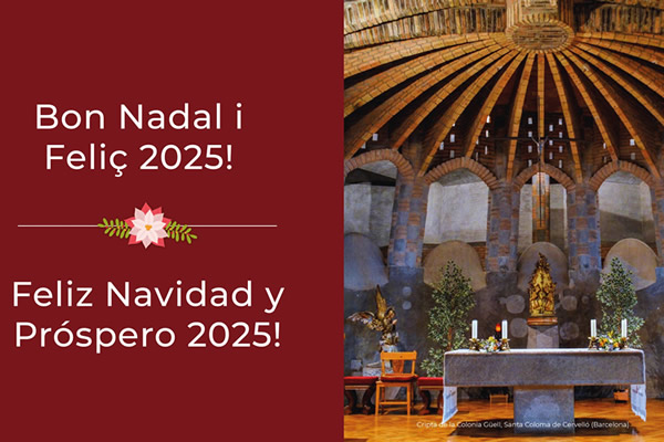 NEWSLETTER-Diciembre-2024